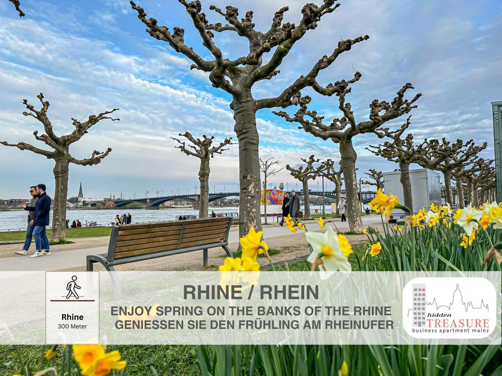 Hidden Treasure Business Apartment Mainz - Fantastic Rhine View In Center Of Mainz Old Town Bagian luar foto