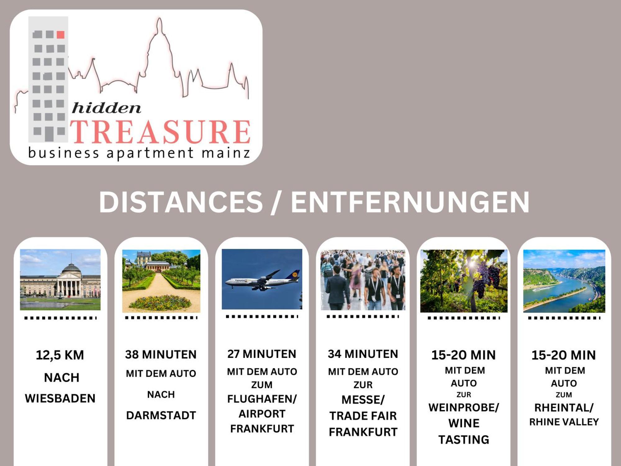 Hidden Treasure Business Apartment Mainz - Fantastic Rhine View In Center Of Mainz Old Town Bagian luar foto